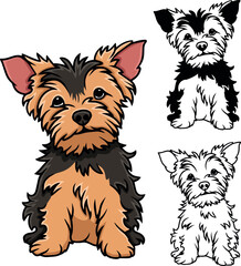 Cute Yorkshire terrier