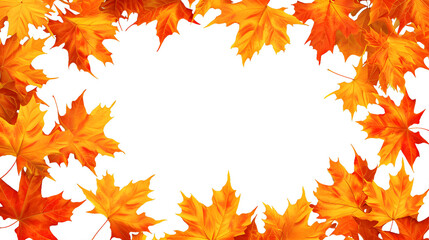 Naklejka na ściany i meble maple leaves border, autumn leaves border, seasonal border