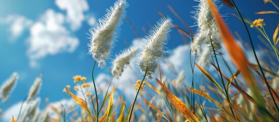 Naklejka premium In admiration, a foxtail dances gracefully against the vibrant backdrop of the blue sky, basking in the blissful freedom of the open air.