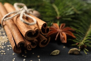 Different spices and fir branches on gray table, closeup