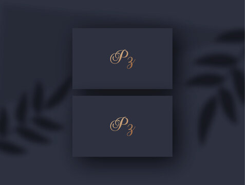 Pz logo design vector image