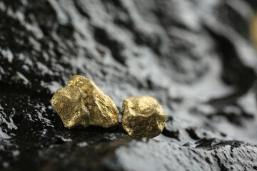 Shiny gold nuggets on wet stone, closeup. Space for text