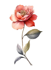 Watercolor flower clipart. Decoration for posters, greeting cards, birthdays, and wedding designs. Isolated on a transparent background. Generative AI.