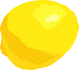 Big yellow lemon. Isolated on white background. Vector illustration. For print.