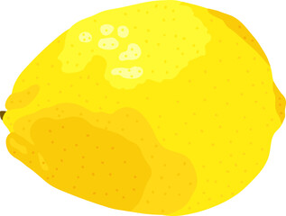 Big yellow lemon. Isolated on white background. Vector illustration. For print.