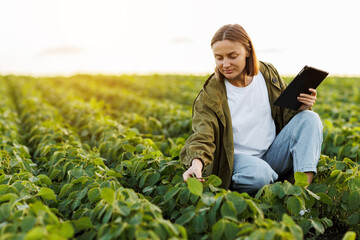 Modern agribusiness. Female farmer with digital tablet examines and checkins green leaves of...