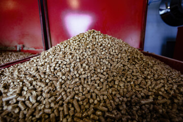 Pile of bio fuel pellets, close up view, selective focus