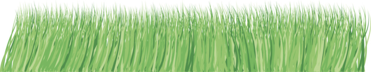Realistic green grass. Vector image on a transparent background.
