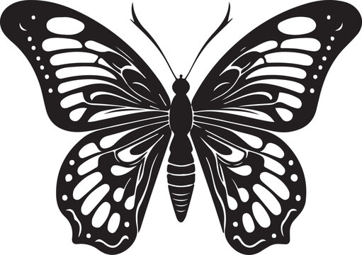 butterfly vector