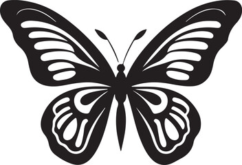 butterfly vector