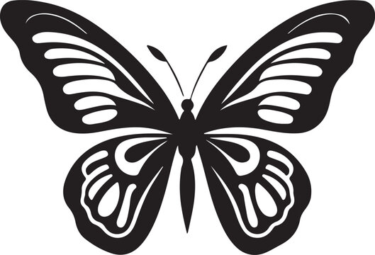 butterfly vector