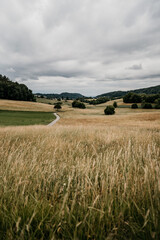 Fototapeta premium Wunderschöne Wiesenlandschaft mit weiten Feldern und grauem Himmel