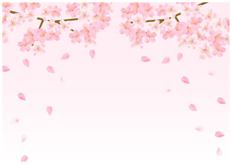 Obraz na płótnie Canvas 桜の花舞う春の放射状フレーム背景17桜色