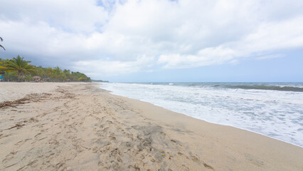 Serene Tropical Beach with Palm Trees