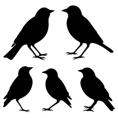 Lark bird black silhouette collection. Creative Lark bird silhouette set. Bird vector and illustration
