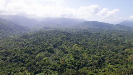 Naklejka premium Aerial View of Lush Tropical Rainforest