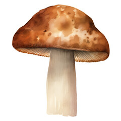 AI-generated watercolor Mushroom clip art illustration. Isolated elements on a white background.