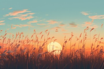  a field of tall grass with the sun setting in the distance in the middle of the day with clouds in the sky and the sun setting in the middle of the middle of the day.