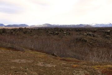 Dimmuborgir is a large area of unusually shaped lava fields east of Mývatn in Iceland
