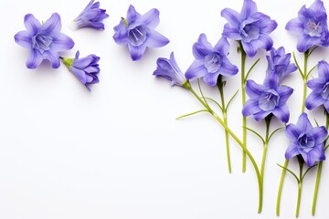  a bunch of purple flowers sitting next to each other on a white surface with one flower in the middle of the frame and one flower in the middle of the frame.