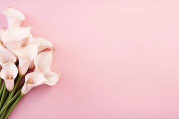  a bouquet of white calla lilies on a pink background with a place for a text or an image with a place for a place for your own text.