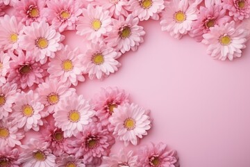  a bunch of pink daisies on a pink background with a place for a text or an image to put on a greeting card or brochure or postcard.
