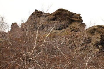 Dimmuborgir is a large area of unusually shaped lava fields east of Mývatn in Iceland