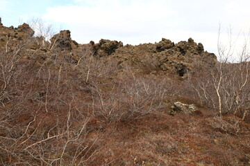 Dimmuborgir is a large area of unusually shaped lava fields east of Mývatn in Iceland