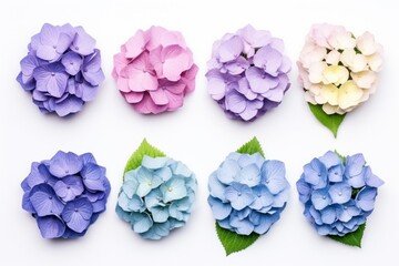  a bunch of different colors of flowers on a white surface with a green leaf in the middle of the petals and a green leaf in the middle of the petals.