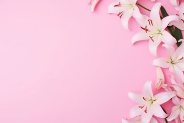  a bouquet of white lilies on a pink background with space for a text or an image with a place for a text or a place for your own text.
