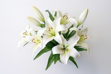 Fototapeta na wymiar a bouquet of white lilies with green leaves on a white background with copy - space for text or image, top view of a bouquet of white lilies with green leaves on a white background.