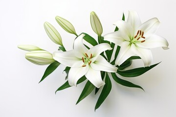 Fototapeta na wymiar a bouquet of white lilies with green leaves on a white background with copy - space for a text or a logo on the bottom right side of the image.