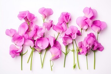  a group of pink flowers sitting on top of a white table next to each other on top of a white table next to a green stem and a white wall.