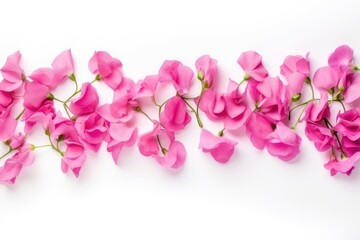 a bunch of pink flowers sitting on top of a white surface with one flower in the middle of the frame and the other flower in the middle of the frame.