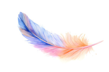 Soft pastel detailed feather in watercolor style isolated on white background