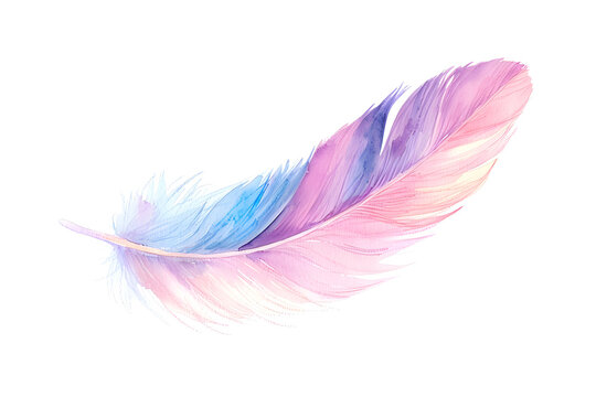 Soft pastel detailed feather in watercolor style isolated on white background