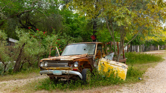 Automovil viejo estacionado debajo de un arbol