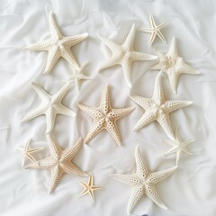 Fototapeta na wymiar sea starfish isolated on white