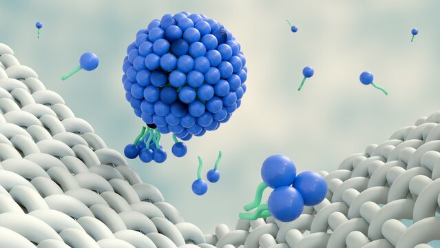 3d rendering of the soap molecules form structures called micelles. it forms an emulsion in water and helps in dissolving the dirt when we wash our clothes.