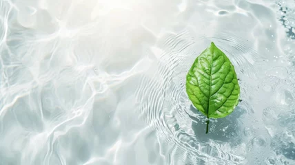 Foto op Plexiglas Green leaves on water surface. Beautiful water ripple background for product presentation. Copy space © Glce