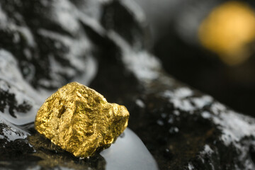 Shiny gold nugget on wet stone, closeup. Space for text