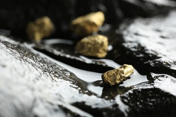 Shiny gold nuggets on wet stone, closeup. Space for text