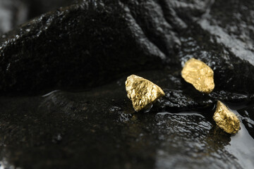 Shiny gold nuggets on wet stone, closeup. Space for text