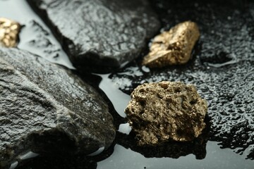 Shiny gold nuggets on wet stones, closeup