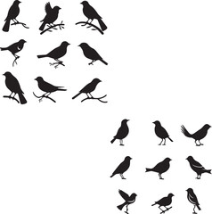 Fototapeta premium Set of Birds Flying black silhouettes on white background