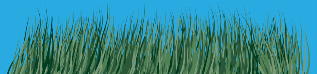 Green grass. Vector image on a blue background.