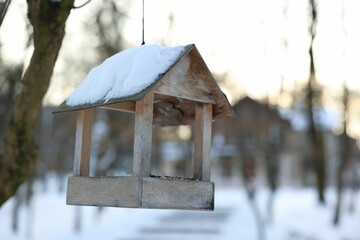 Wooden birdhouse hanging in park, space for text