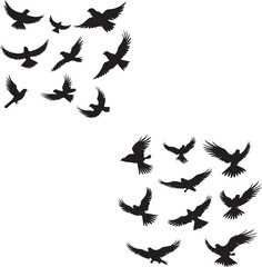 Set of Birds Flying black silhouettes on white background