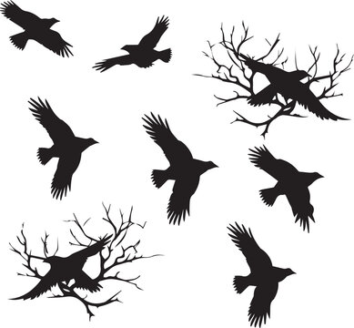 Set of Birds Flying black silhouettes on white background