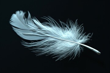 Obraz premium Pure White Feather Beauty JPG by Generative A.I.
